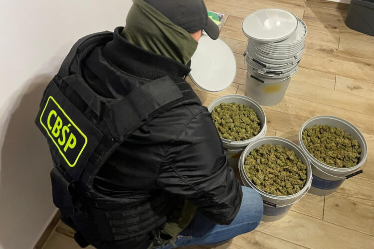 Kokaina w bananach. Gang narkotykowy rozbity