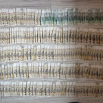 Kokaina w bananach. Gang narkotykowy rozbity - Polskie Radio Rzeszów