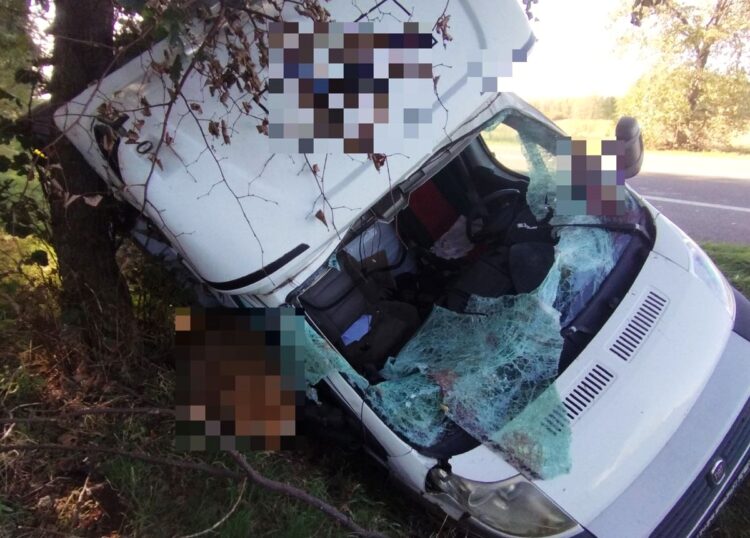 Wypadek na drodze w Górnie. Zderzenie samochodu z sarną