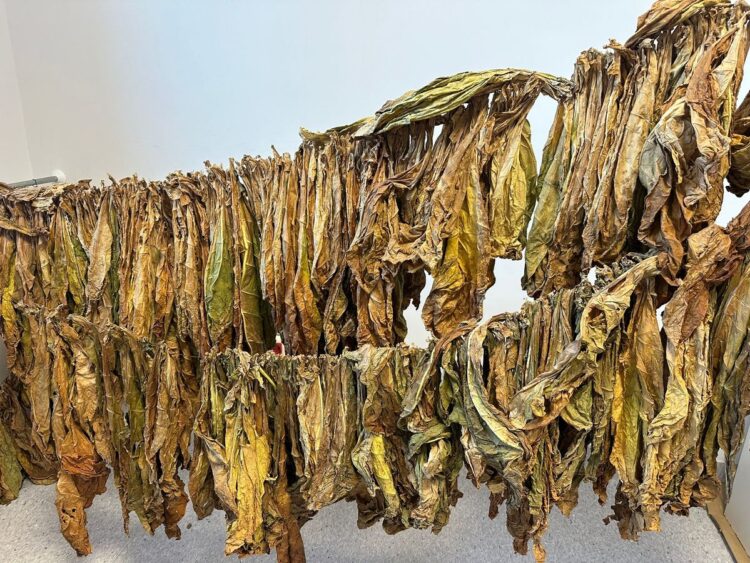 Mieszkaniec powiatu lubaczowskiego zajmował się nielegalnym wyrobem papierosów