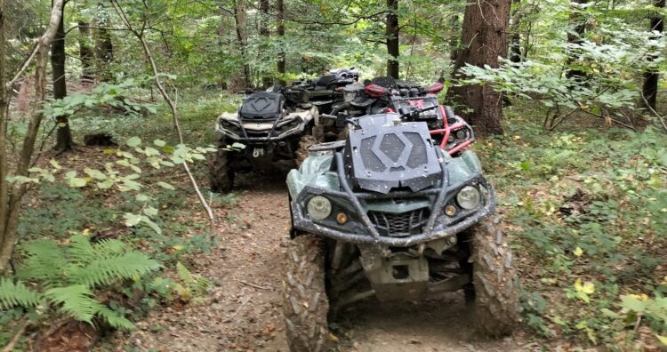 Quadami rozjeżdżają podkarpackie lasy