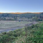 Zalew w Krempnej zostanie wreszcie odmulony - Polskie Radio Rzeszów