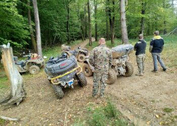 Straż Leśna podsumowała akcję „Jesień 2024”