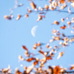 Otwarcie cmentarza wojennego na Manyłowej (fotogaleria) 40 - Polskie Radio Rzeszów Otwarcie cmentarza wojennego na Manyłowej (fotogaleria) - Polskie Radio Rzeszów