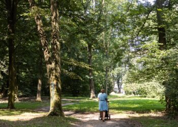 Strategia dla zielonych terenów w&nbsp;Rzeszowie i&nbsp;Iwano-Frankowsku