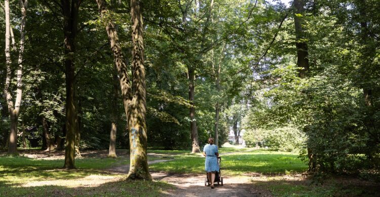 Strategia dla zielonych terenów w Rzeszowie i Iwano-Frankowsku