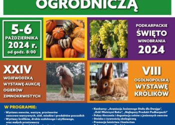 fot. plakat wydarzenia