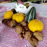 Za nami pierwszy dzień Jesiennej Giełdy Ogrodniczej w Boguchwale (zdjęcia) 30 - Polskie Radio Rzeszów Za nami pierwszy dzień Jesiennej Giełdy Ogrodniczej w Boguchwale (zdjęcia) - Polskie Radio Rzeszów