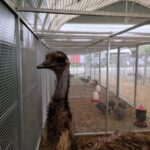 Za nami pierwszy dzień Jesiennej Giełdy Ogrodniczej w Boguchwale (zdjęcia) 13 - Polskie Radio Rzeszów Za nami pierwszy dzień Jesiennej Giełdy Ogrodniczej w Boguchwale (zdjęcia) - Polskie Radio Rzeszów