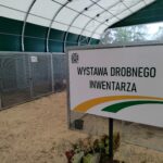 Za nami pierwszy dzień Jesiennej Giełdy Ogrodniczej w Boguchwale (zdjęcia) 10 - Polskie Radio Rzeszów Za nami pierwszy dzień Jesiennej Giełdy Ogrodniczej w Boguchwale (zdjęcia) - Polskie Radio Rzeszów