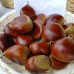 Zakończyła się Jesienna Giełda Ogrodnicza w Boguchwale (fotogaleria) 5 - Polskie Radio Rzeszów Zakończyła się Jesienna Giełda Ogrodnicza w Boguchwale (fotogaleria) - Polskie Radio Rzeszów