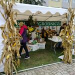Zakończyła się Jesienna Giełda Ogrodnicza w Boguchwale (fotogaleria) 31 - Polskie Radio Rzeszów Zakończyła się Jesienna Giełda Ogrodnicza w Boguchwale (fotogaleria) - Polskie Radio Rzeszów