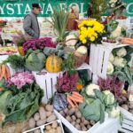 Zakończyła się Jesienna Giełda Ogrodnicza w Boguchwale (fotogaleria) 32 - Polskie Radio Rzeszów Zakończyła się Jesienna Giełda Ogrodnicza w Boguchwale (fotogaleria) - Polskie Radio Rzeszów