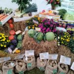 Zakończyła się Jesienna Giełda Ogrodnicza w Boguchwale (fotogaleria) 34 - Polskie Radio Rzeszów Zakończyła się Jesienna Giełda Ogrodnicza w Boguchwale (fotogaleria) - Polskie Radio Rzeszów