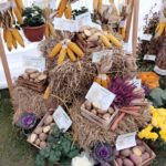 Zakończyła się Jesienna Giełda Ogrodnicza w Boguchwale (fotogaleria) 37 - Polskie Radio Rzeszów Zakończyła się Jesienna Giełda Ogrodnicza w Boguchwale (fotogaleria) - Polskie Radio Rzeszów