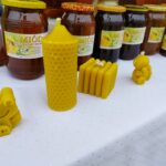 Zakończyła się Jesienna Giełda Ogrodnicza w Boguchwale (fotogaleria) 40 - Polskie Radio Rzeszów Zakończyła się Jesienna Giełda Ogrodnicza w Boguchwale (fotogaleria) - Polskie Radio Rzeszów