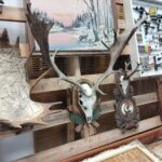 Targi Łowiectwa i Leśnictwa 2024 za nami 15 - Polskie Radio Rzeszów Targi Łowiectwa i Leśnictwa 2024 za nami - Polskie Radio Rzeszów