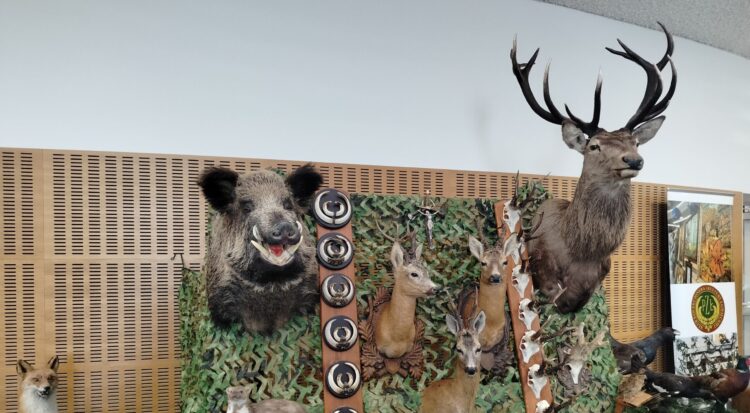 Targi Łowiectwa i Leśnictwa 2024 za nami