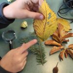 Jesienne pogaduchy 5 - Polskie Radio Rzeszów Jesienne pogaduchy - Polskie Radio Rzeszów