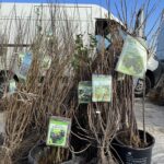 W Rzeszowie odbył się kolejny Podkarpacki Bazarek 5 - Polskie Radio Rzeszów W Rzeszowie odbył się kolejny Podkarpacki Bazarek - Polskie Radio Rzeszów