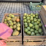 W Rzeszowie odbył się kolejny Podkarpacki Bazarek 4 - Polskie Radio Rzeszów W Rzeszowie odbył się kolejny Podkarpacki Bazarek - Polskie Radio Rzeszów