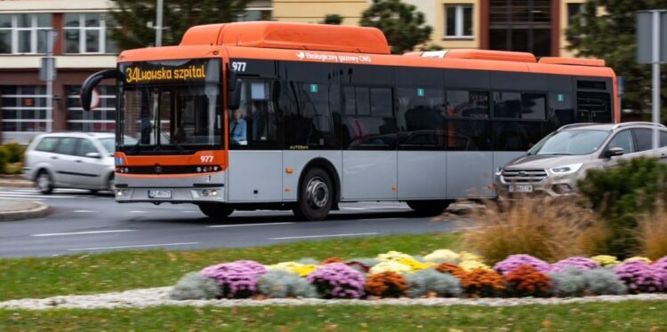 Darmowa komunikacja we Wszystkich Świętych w niektórych miastach regionu
