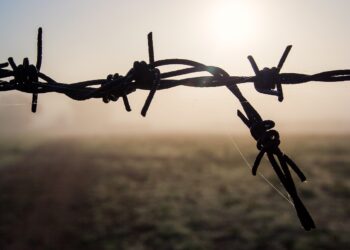 Izrael/Przedsiębiorcy oferują 100 tys. dolarów za&nbsp;każdego uwolnionego zakładnika