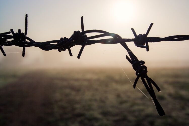 Izrael/Przedsiębiorcy oferują 100 tys. dolarów za każdego uwolnionego zakładnika