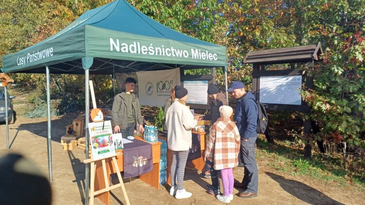 Atrakcje na ścieżkach historyczno-przyrodniczych w Nadleśnictwie Mielec