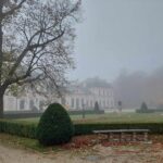 Na terenie parku pałacu w Sieniawie archeolodzy wykopali skarb - Polskie Radio Rzeszów