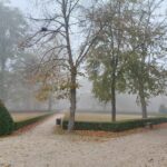 Na terenie parku pałacu w Sieniawie archeolodzy wykopali skarb - Polskie Radio Rzeszów