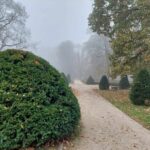 Na terenie parku pałacu w Sieniawie archeolodzy wykopali skarb - Polskie Radio Rzeszów