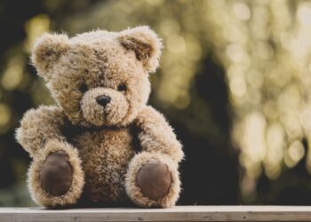 28 października – Dzień Miłośników Pluszaków