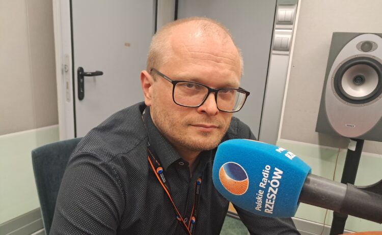 Czy sowy są naprawdę mądre?