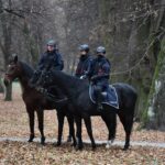 Agresywni kibice na meczu w Jarosławiu. Posypały się mandaty 4 - Polskie Radio Rzeszów Agresywni kibice na meczu w Jarosławiu. Posypały się mandaty - Polskie Radio Rzeszów
