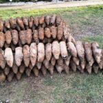 Wykopali 135 pocisków artyleryjskich z czasów II wojny światowej 3 - Polskie Radio Rzeszów Wykopali 135 pocisków artyleryjskich z czasów II wojny światowej - Polskie Radio Rzeszów