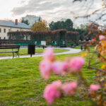 Miasto nie będzie już utrzymywać rzeszowskich Ogrodów Bernardyńskich 15 - Polskie Radio Rzeszów Miasto nie będzie już utrzymywać rzeszowskich Ogrodów Bernardyńskich - Polskie Radio Rzeszów