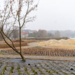 Jeszcze w tym roku ma być gotowa plaża nad Wisłokiem w Rzeszowie - Polskie Radio Rzeszów