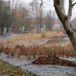 Jeszcze w tym roku ma być gotowa plaża nad Wisłokiem w Rzeszowie - Polskie Radio Rzeszów