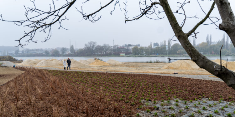 Fot. Urząd Miasta Rzeszowa