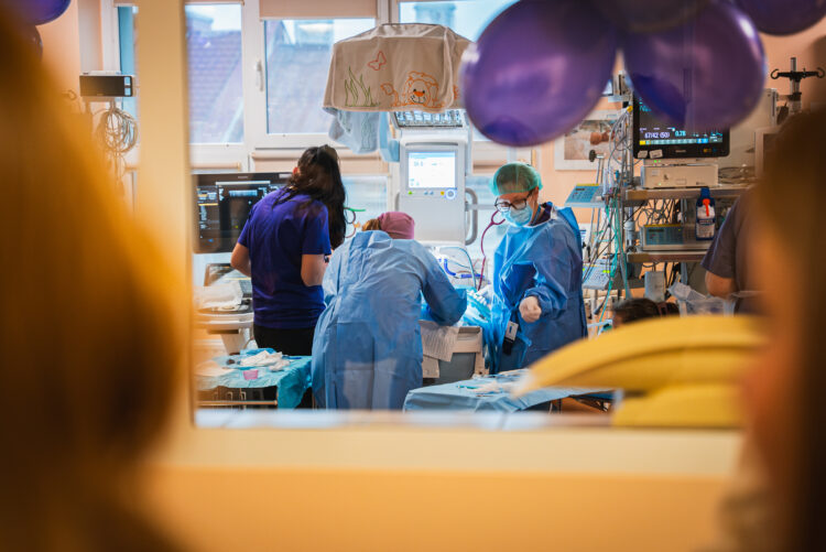 Święto wcześniaka w rzeszowskich szpitalach (zdjęcia, video)