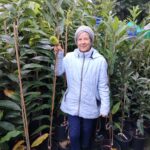 Pierwsza w Polsce plantacja kasztana jadalnego 6 - Polskie Radio Rzeszów Pierwsza w Polsce plantacja kasztana jadalnego - Polskie Radio Rzeszów