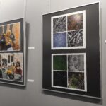 Jak wygląda cisza? 8 - Polskie Radio Rzeszów Jak wygląda cisza? - Polskie Radio Rzeszów