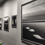 Jak wygląda cisza? 13 - Polskie Radio Rzeszów Jak wygląda cisza? - Polskie Radio Rzeszów