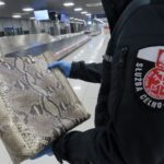 Kolejna rzecz ze skóry chronionego węża na rzeszowskim lotnisku - Polskie Radio Rzeszów