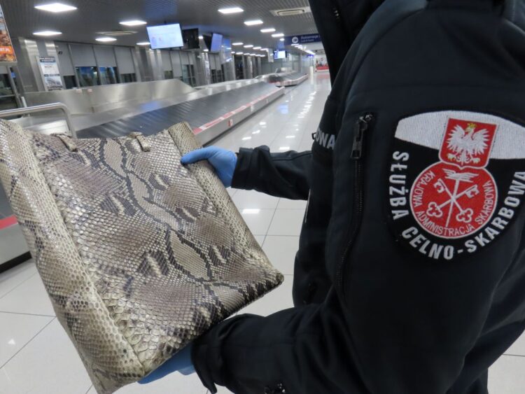 Kolejna rzecz ze skóry chronionego węża na rzeszowskim lotnisku