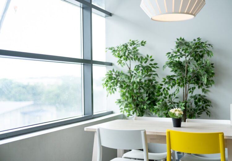 W Stalowej Woli ruszy budowa Centrum Opiekuńczo-Mieszkalnego