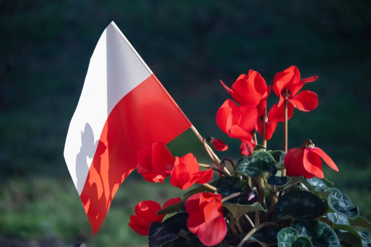 Koncert patriotyczny w Przeworsku 1 - Polskie Radio Rzeszów Koncert patriotyczny w Przeworsku