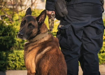 Policjanci z Boguchwały uratowali 22-letniego mężczyznę