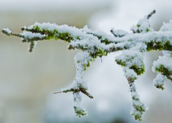 Lód i&nbsp;intensywne opady śniegu na&nbsp;południu regionu